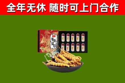 马边回收冬虫夏草价格
